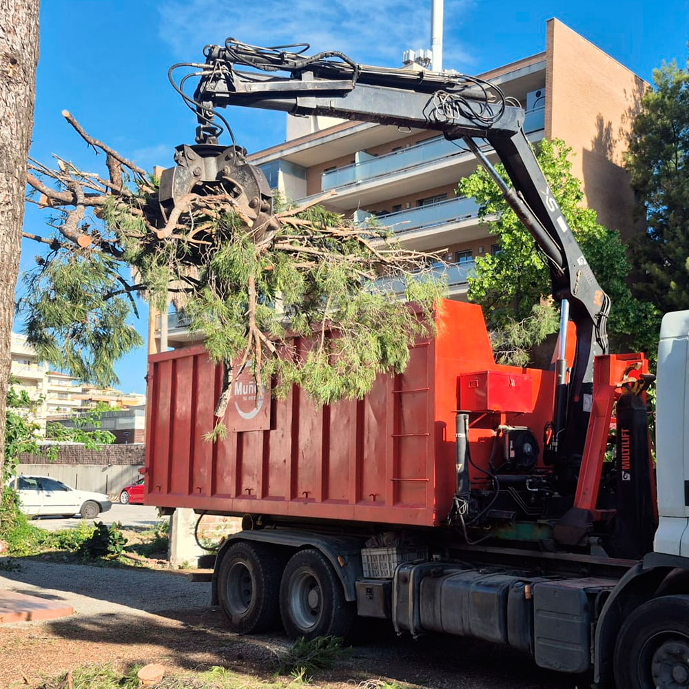 Transports i Contenidors Muñoz...